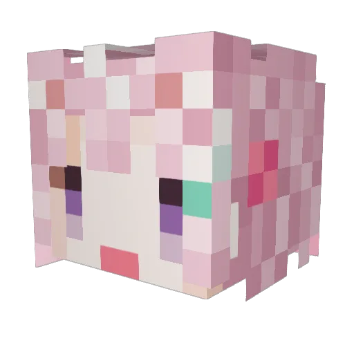 Tibus0119 Minecraft avatar head, 3D render