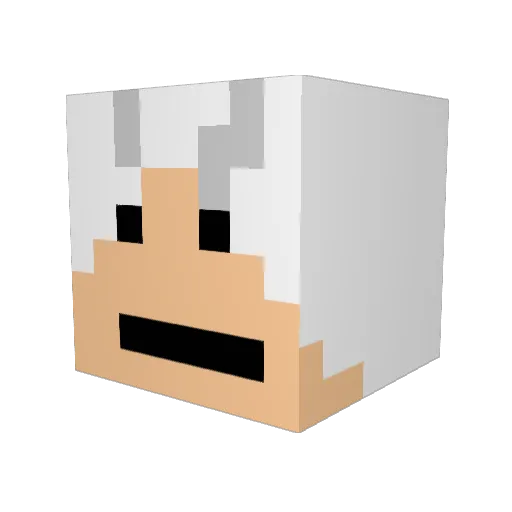 TicTac707 Minecraft avatar head, 3D render