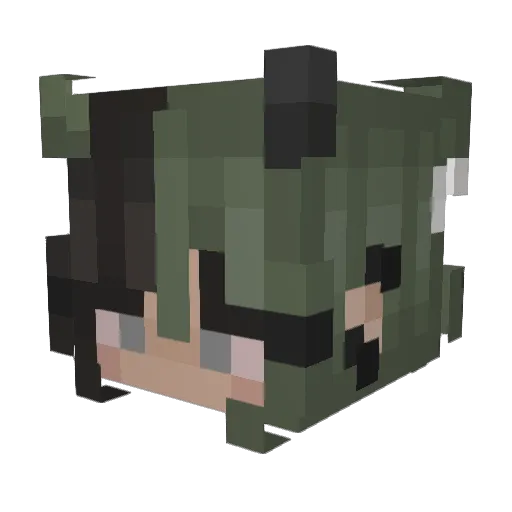 TicTaker135 Minecraft avatar head, 3D render