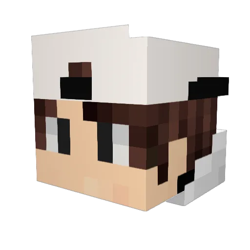 TicasTV Minecraft avatar head, 3D render