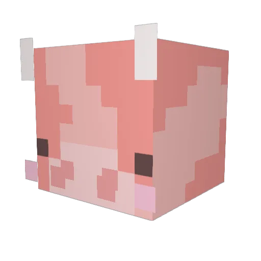 Ticey_wicey Minecraft avatar head, 3D render