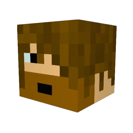 Tichipo Minecraft avatar head, 3D render