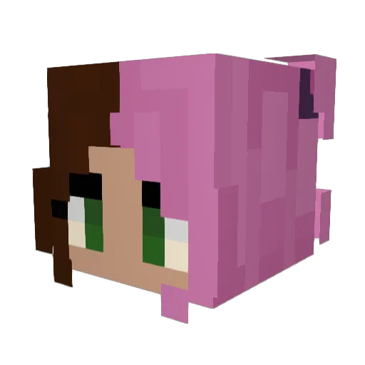 TicisLand Minecraft avatar head, 3D render