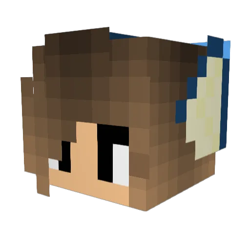 TicketedRabbit6 Minecraft avatar head, 3D render
