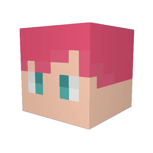 Ticketvenn Minecraft avatar head, 3D render