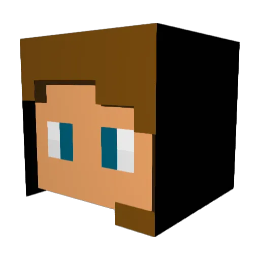 Tickiwaw Minecraft avatar head, 3D render
