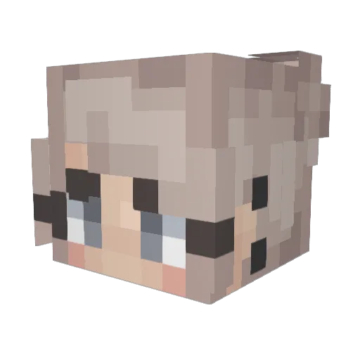 TickleMeElmo4477 Minecraft avatar head, 3D render