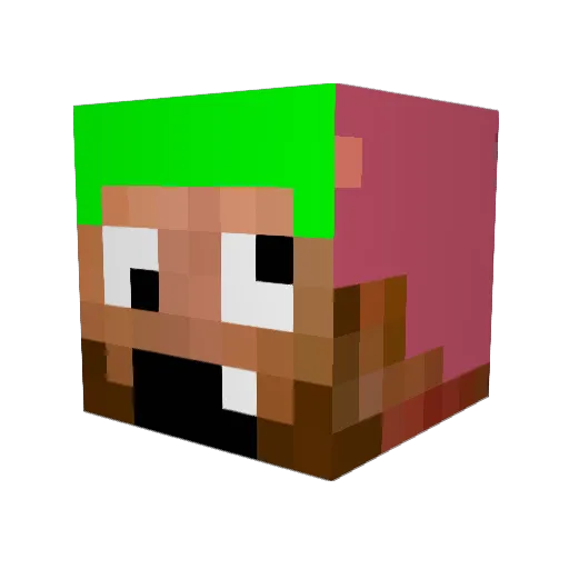 TickleMonster64 Minecraft avatar head, 3D render
