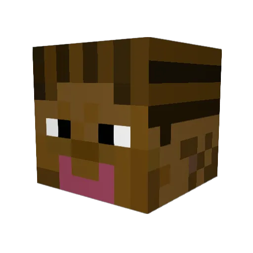 TickleTheDragon Minecraft avatar head, 3D render