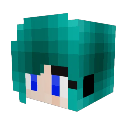 Tickleman029 Minecraft avatar head, 3D render