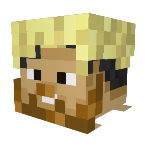 Ticklewixer Minecraft avatar head, 3D render