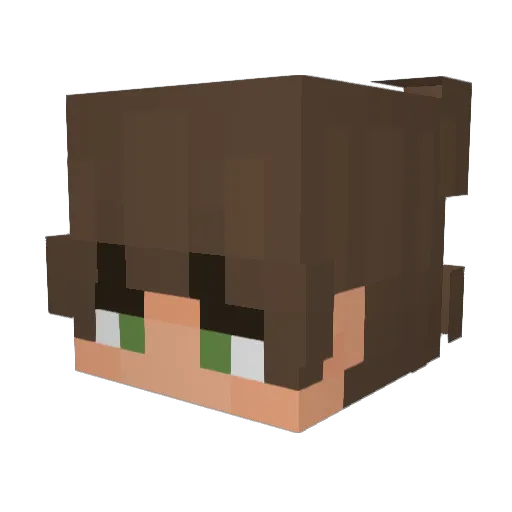TicklezUrNalgaz Minecraft avatar head, 3D render