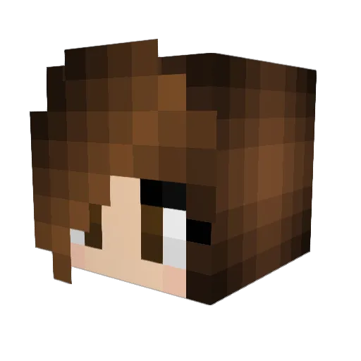 Tickner Minecraft avatar head, 3D render