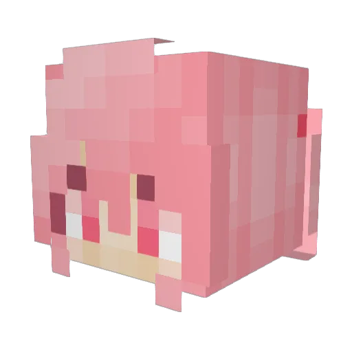 TickyN Minecraft avatar head, 3D render