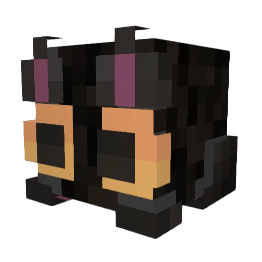 Ticloush Minecraft avatar head, 3D render