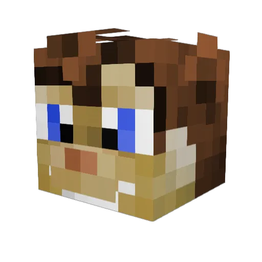Tico79 Minecraft avatar head, 3D render