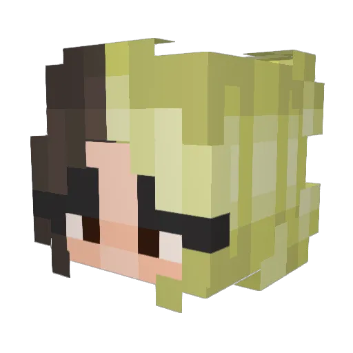 TicoTico Minecraft avatar head, 3D render