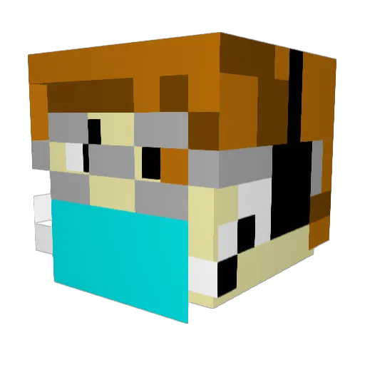 Tictic09 Minecraft avatar head, 3D render
