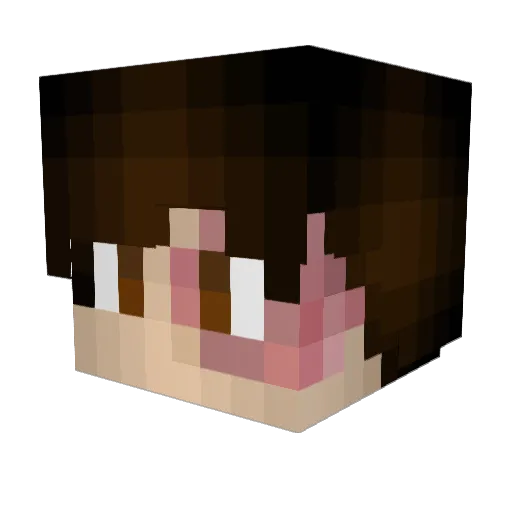 Tidal5 Minecraft avatar head, 3D render