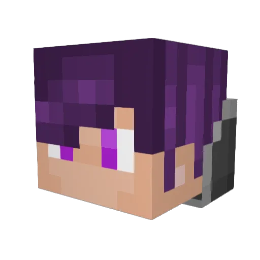 TidalEquation25 Minecraft avatar head, 3D render