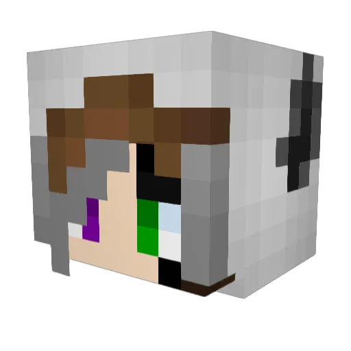 Tidalwave123 Minecraft avatar head, 3D render