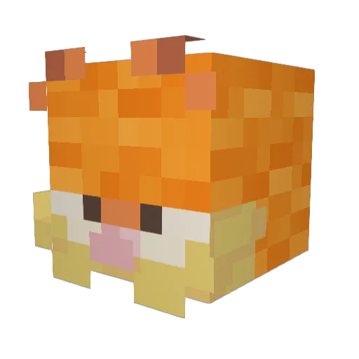 Tidbiten Minecraft avatar head, 3D render