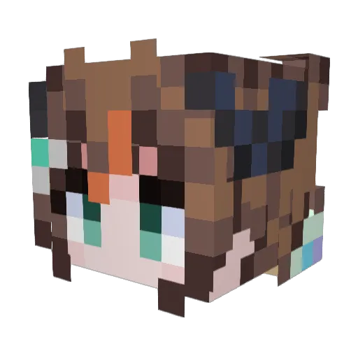 Tiddina216 Minecraft avatar head, 3D render