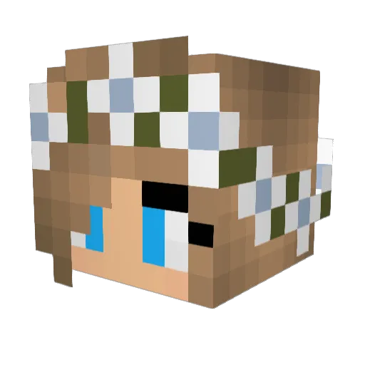 Tiddles04 Minecraft avatar head, 3D render