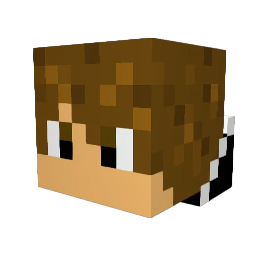 Tiddye Minecraft avatar head, 3D render