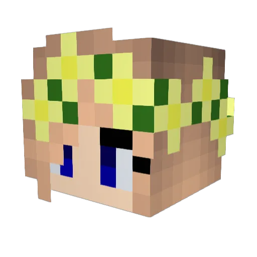 Tide004 Minecraft avatar head, 3D render
