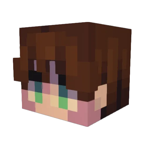 Tidel24 Minecraft avatar head, 3D render