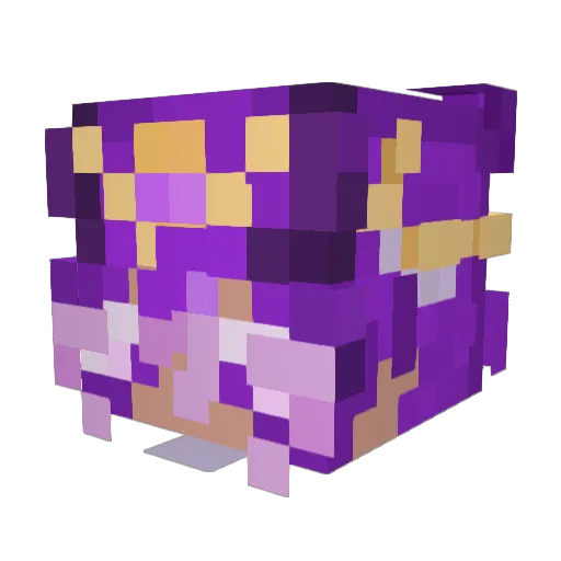 Tidelwave17 Minecraft avatar head, 3D render
