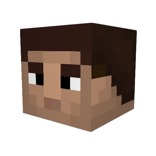 Tidemann_B Minecraft avatar head, 3D render