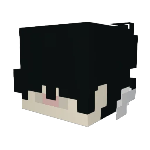 Tidepodboy78 Minecraft avatar head, 3D render