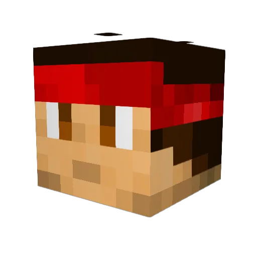 Tidi2001 Minecraft avatar head, 3D render