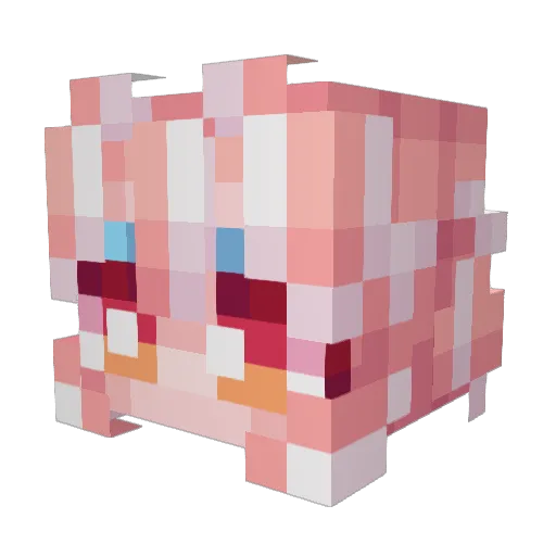 Tidorito Minecraft avatar head, 3D render