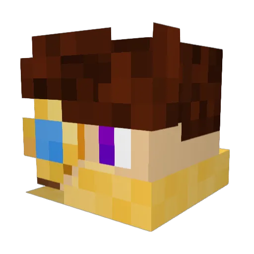 Tidosan Minecraft avatar head, 3D render