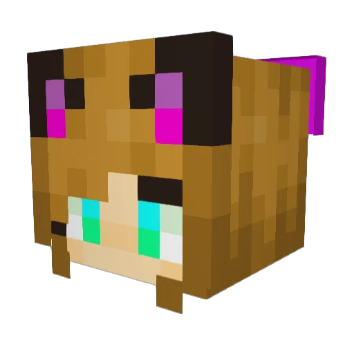 TiduSSkold_xX Minecraft avatar head, 3D render