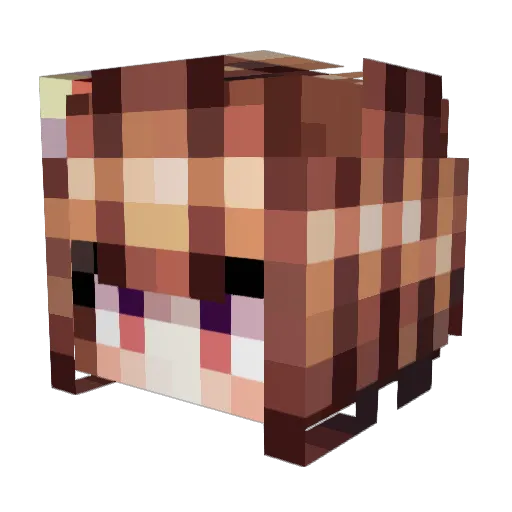 Tiduspeco Minecraft avatar head, 3D render