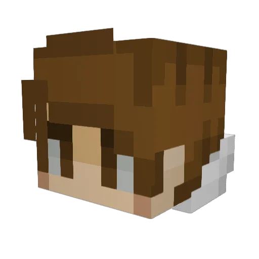 Tidymans_Carpets Minecraft avatar head, 3D render