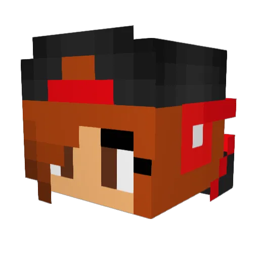 Tidystrider Minecraft avatar head, 3D render
