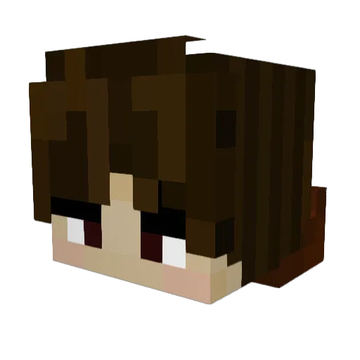 TieFalcon Minecraft avatar head, 3D render