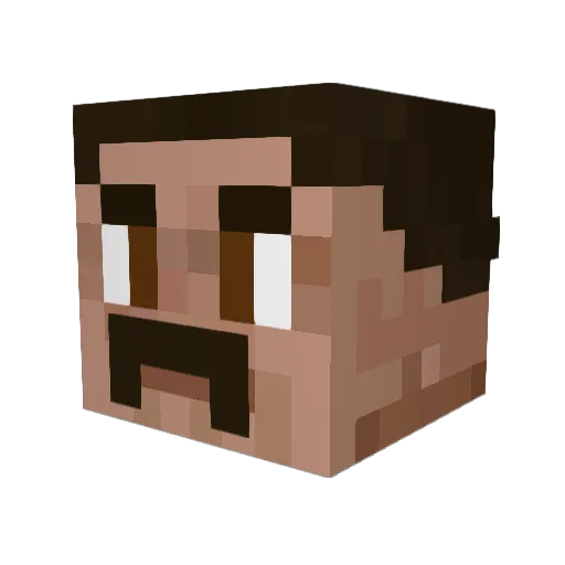 Tiedemannj Minecraft avatar head, 3D render