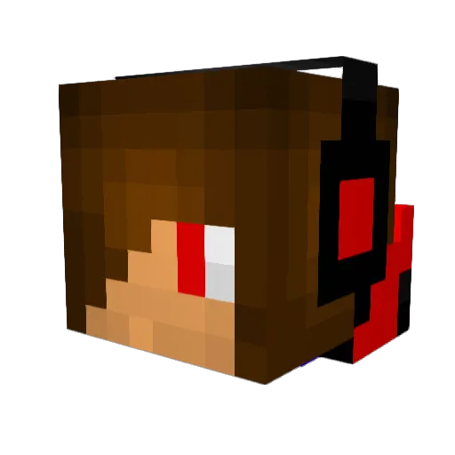 Tiegerhai Minecraft avatar head, 3D render