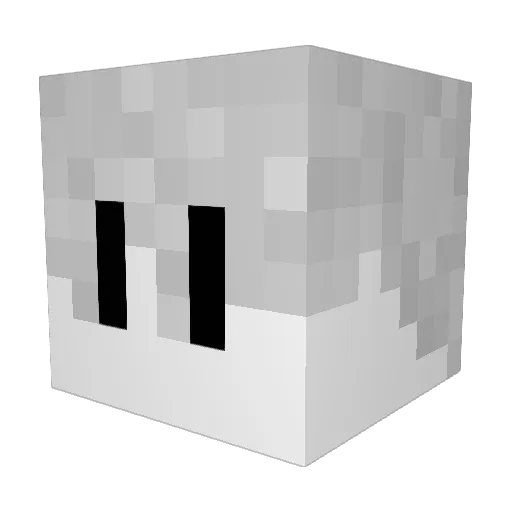 Tiemann66 Minecraft avatar head, 3D render