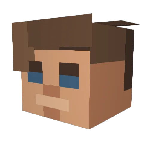 Tienneke Minecraft avatar head, 3D render