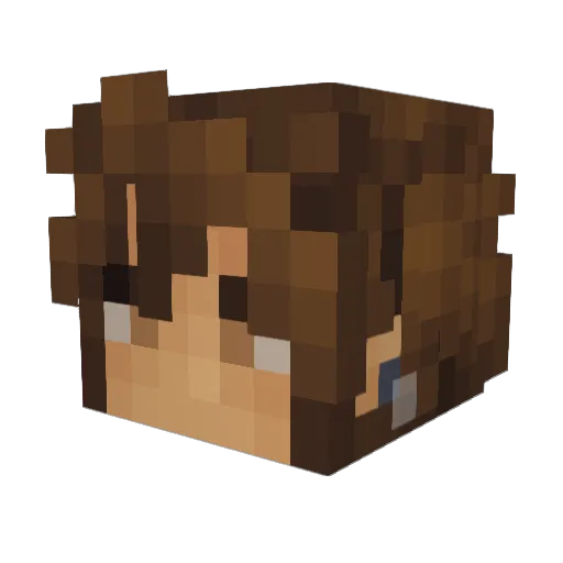 Tierd121 Minecraft avatar head, 3D render