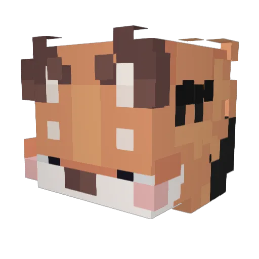TierraKu Minecraft avatar head, 3D render