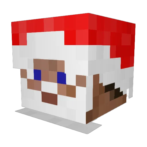 Tiesooo Minecraft avatar head, 3D render