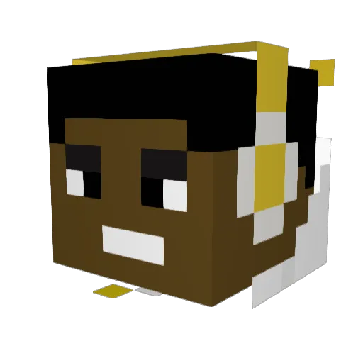Tiesun Minecraft avatar head, 3D render